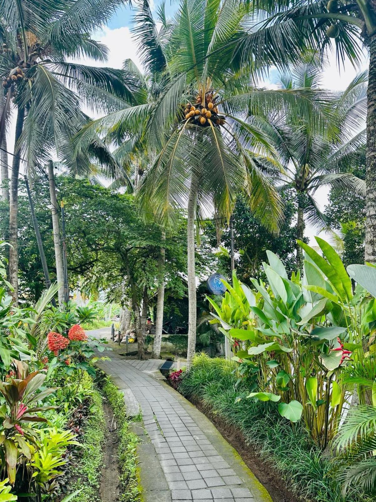 Villa Olirine By Balisuperhost Ubud  Luaran gambar